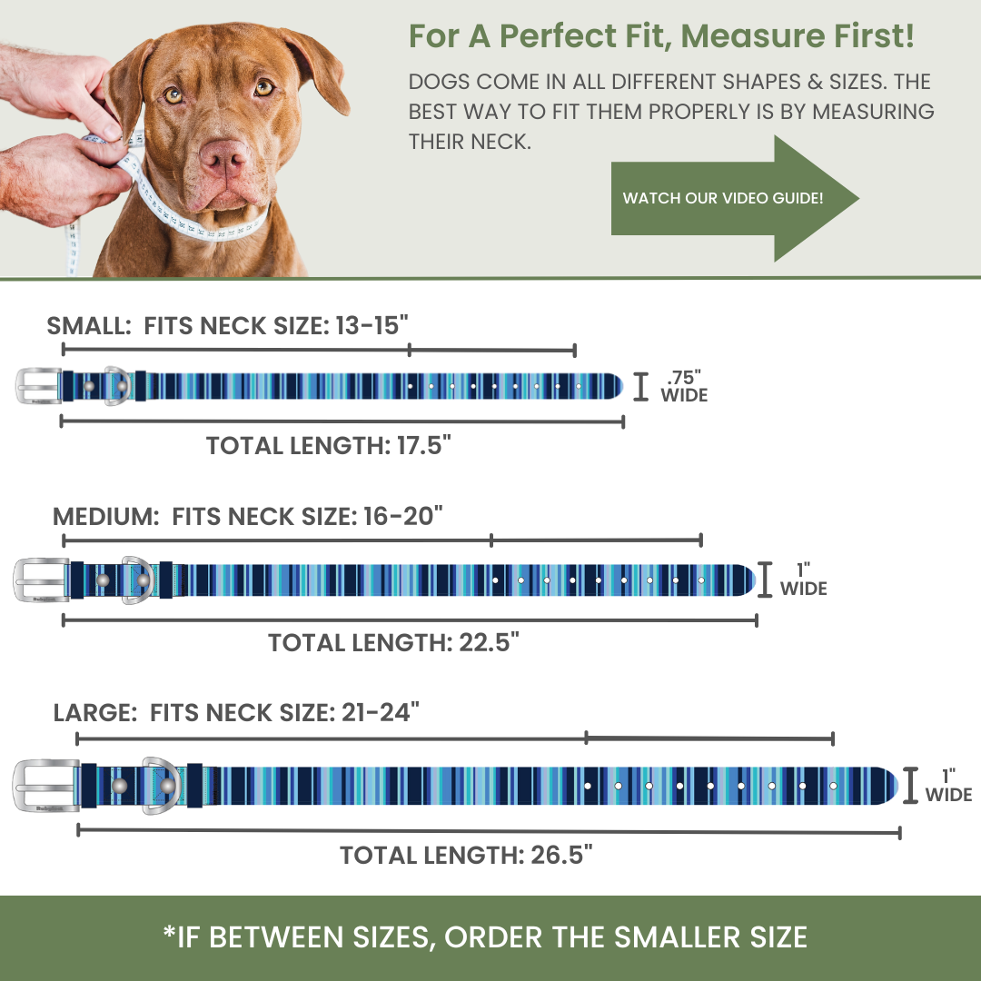 Waterproof Dog Collars – Washable Dog Collar, Stink-Proof &amp; Durable