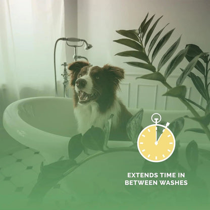 Bark2Basics Long Lasting Scents Professional Pet Cologne for Dogs &amp; Cats, 8oz