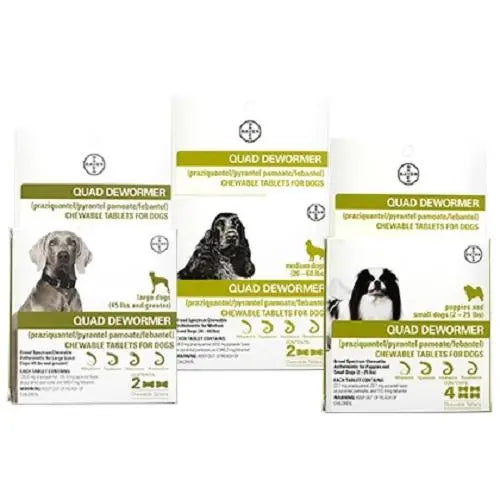 Bayer Quad Dewormer Chewable Tablets for S M L Dogs