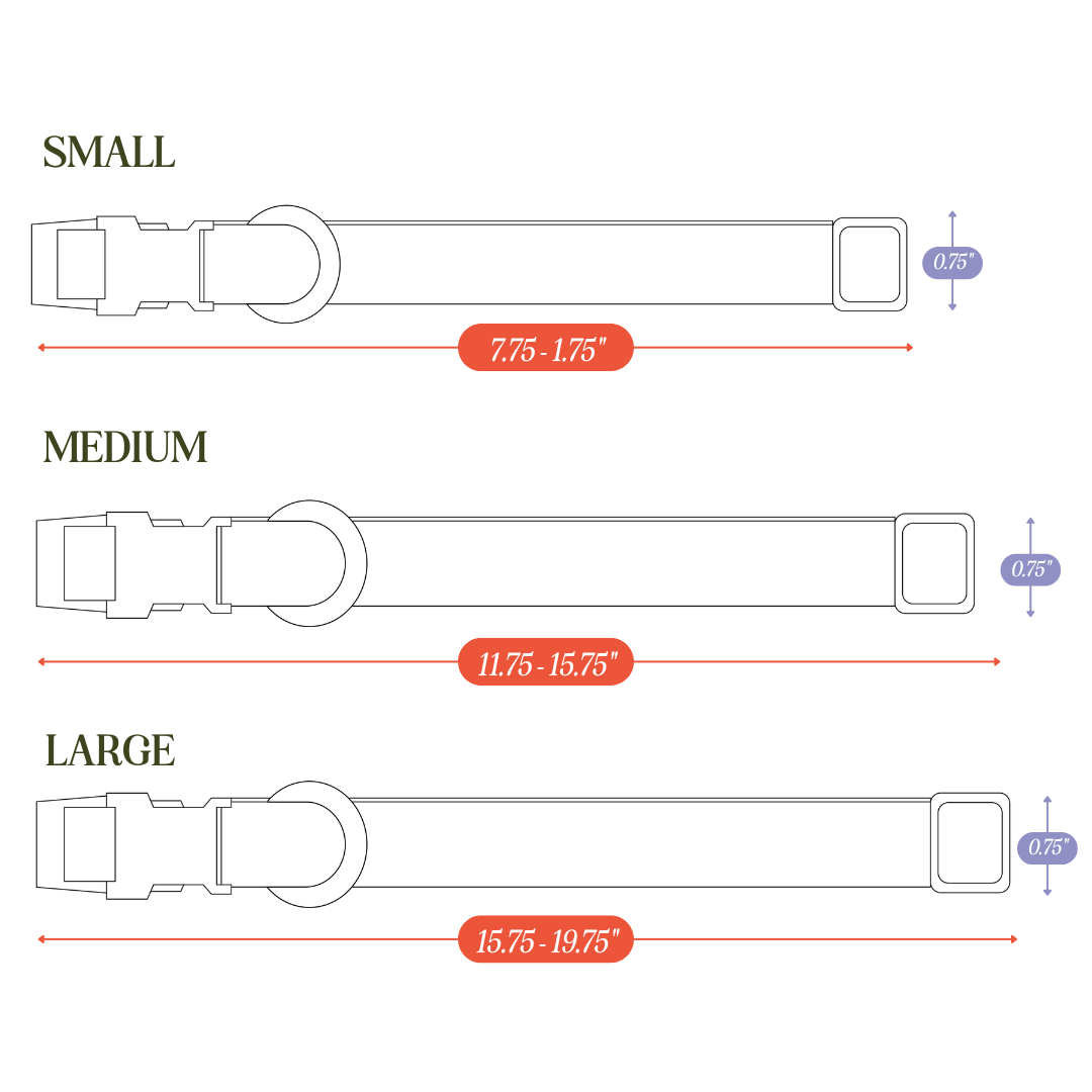 Tilley + Me PVC Dog Collar - All Weather Waterproof Durable &amp; Odor-Resistant