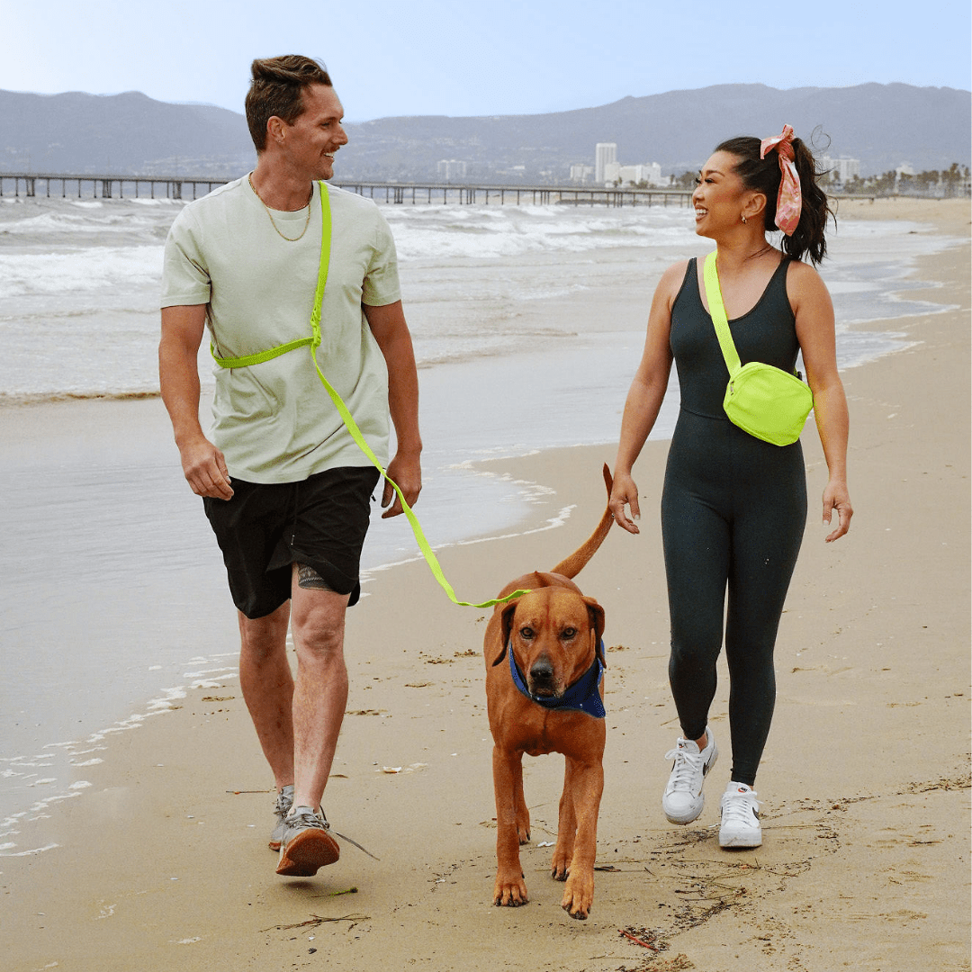 Tilley + Me PVC Dog Collar - All Weather Waterproof Durable &amp; Odor-Resistant