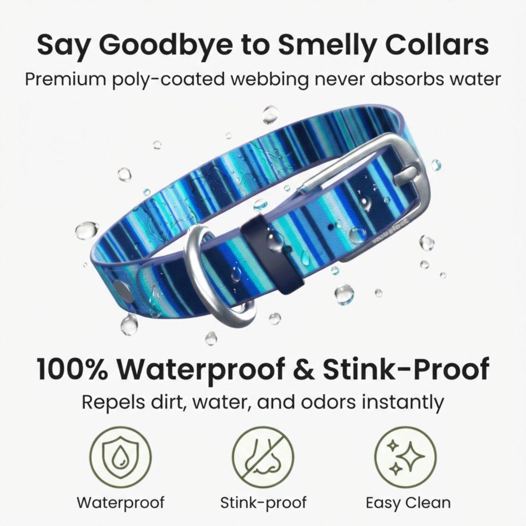 Waterproof Dog Collars – Washable Dog Collar, Stink-Proof &amp; Durable