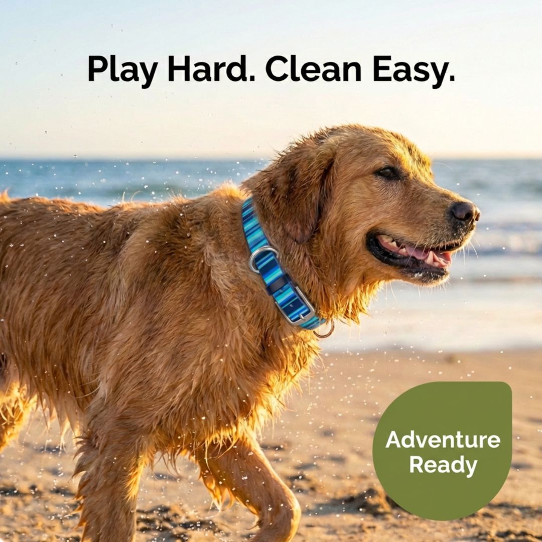 Waterproof Dog Collars – Washable Dog Collar, Stink-Proof &amp; Durable