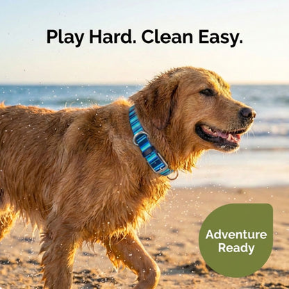 Waterproof Dog Collars – Washable Dog Collar, Stink-Proof &amp; Durable