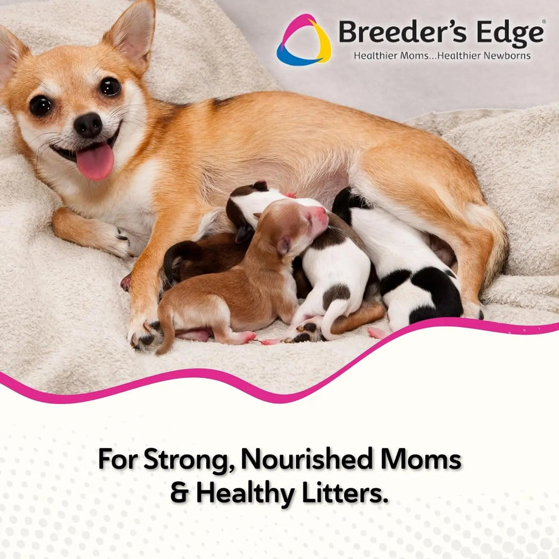 Postnatal Soft Chews for Lactating Dogs &amp; Cats, Breeder Support, 40 Ct