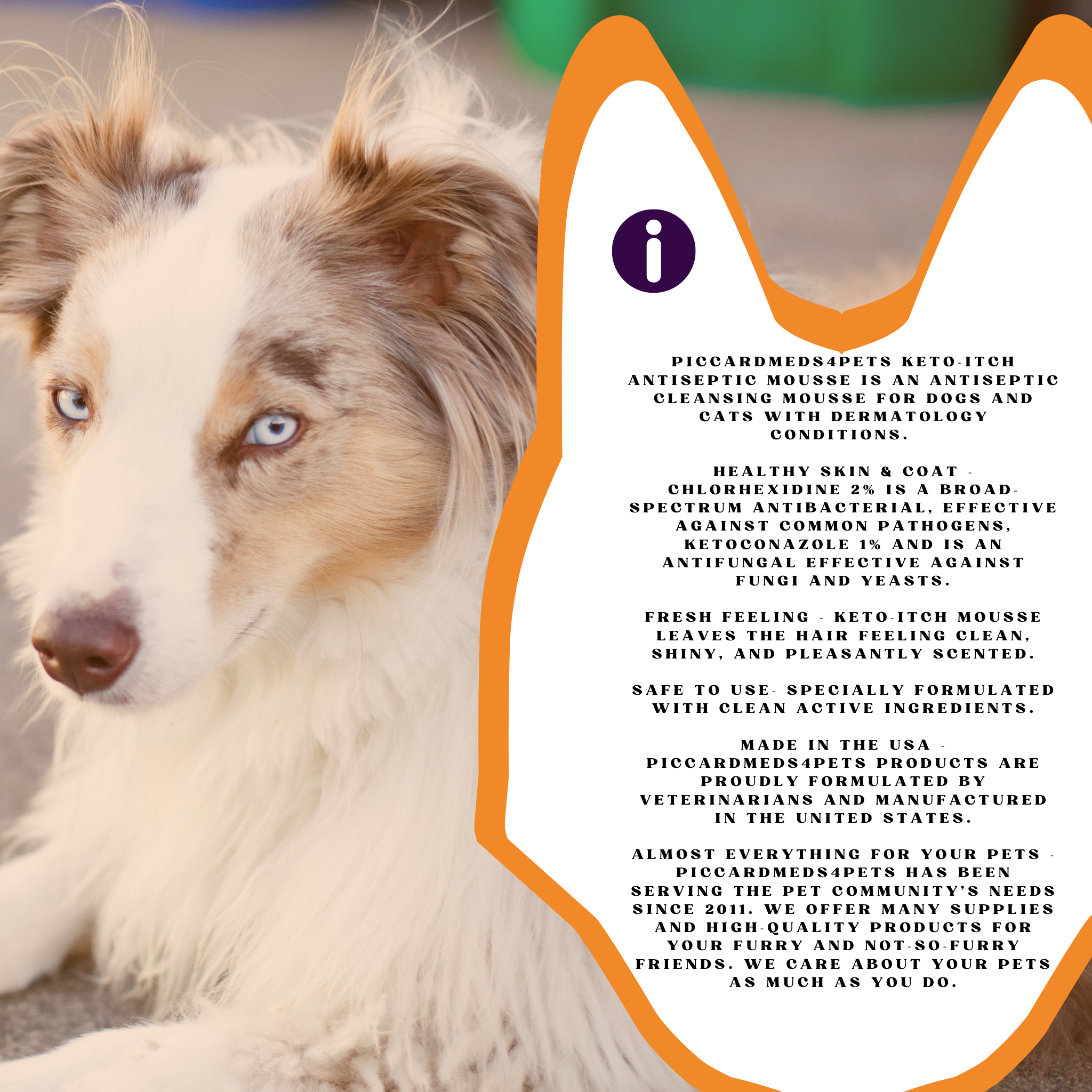 Piccardmeds4pets Keto-Itch Plus Antiseptic Mousse for Cats &amp; Dogs 7 oz. + FREE Bandana!