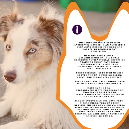 Piccardmeds4pets Keto-Itch Plus Antiseptic Mousse for Cats &amp; Dogs 7 oz. + FREE Bandana!