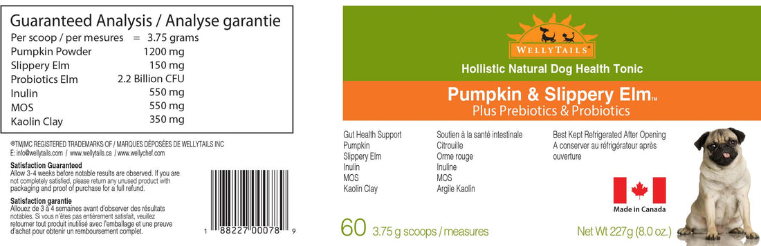 WellyTails Pumpkin &amp; Slippery Elm with Probiotics &amp; Prebiotics