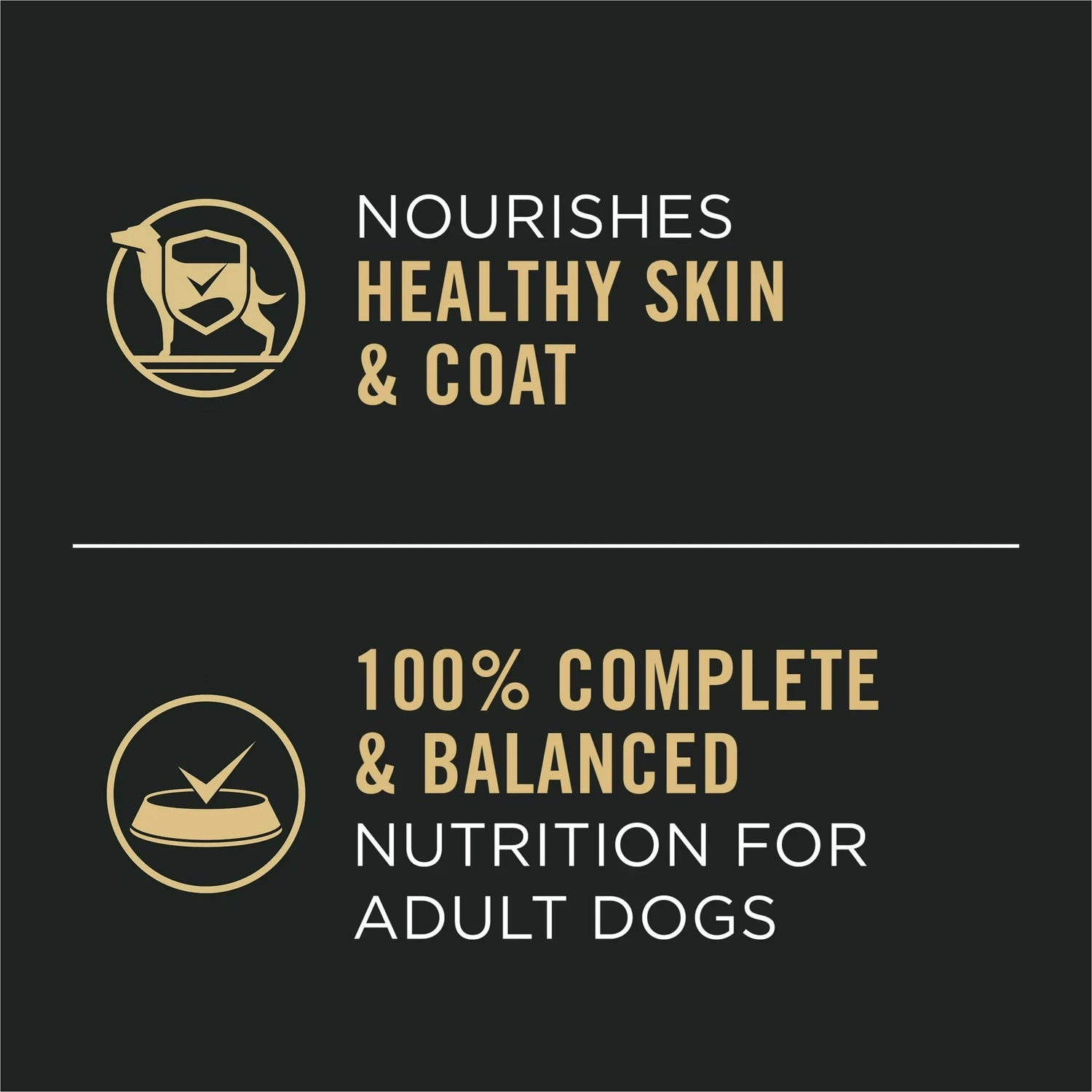 Pro Plan Complete Essentials Adult Chicken &amp; Rice Entrée Classic Wet Dog Food (13oz)