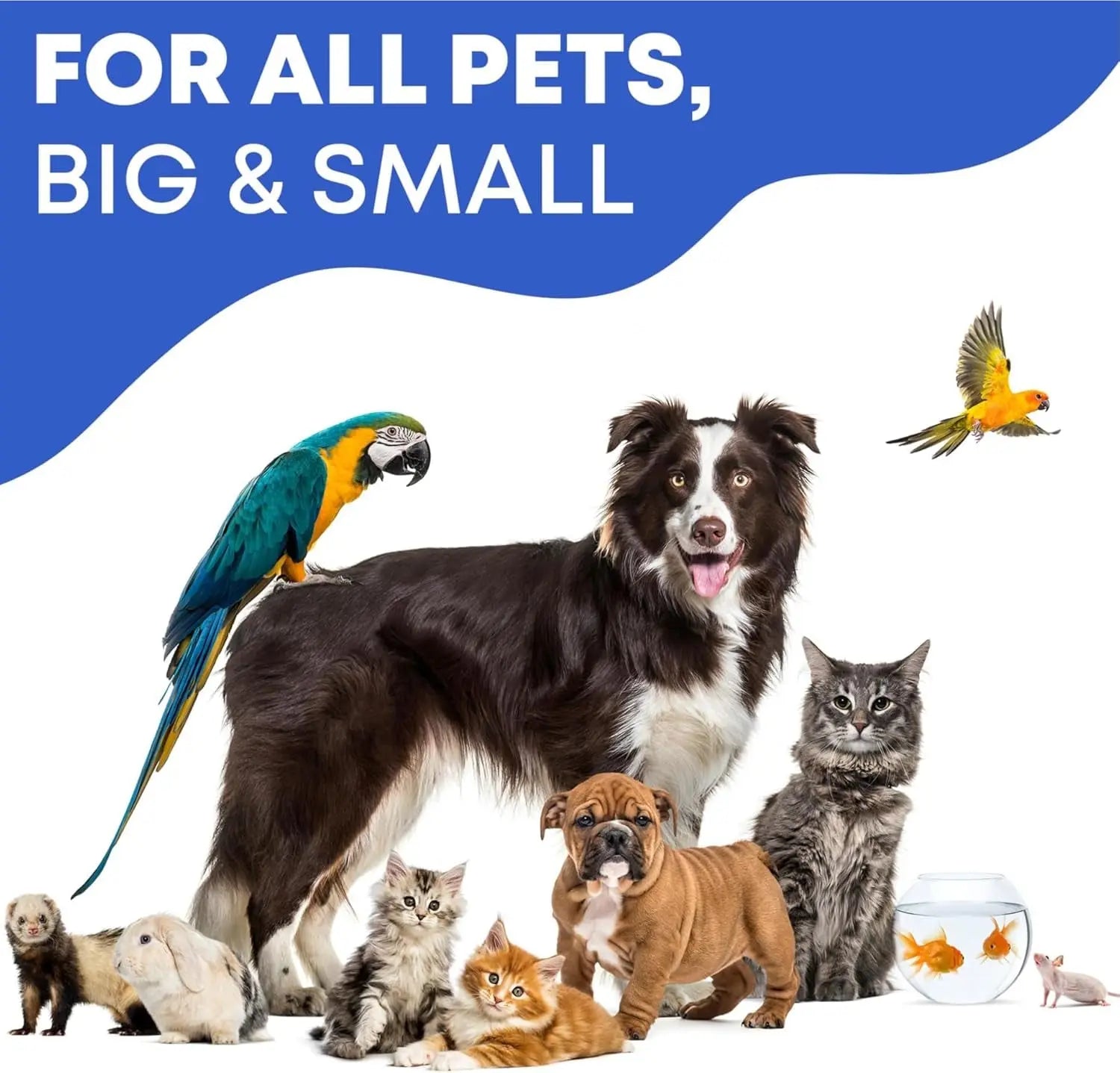 Cat &amp; Dog Ear Cleaner Drops, Yeast &amp; Wax Flush for Itchy Ears, Vet Formula