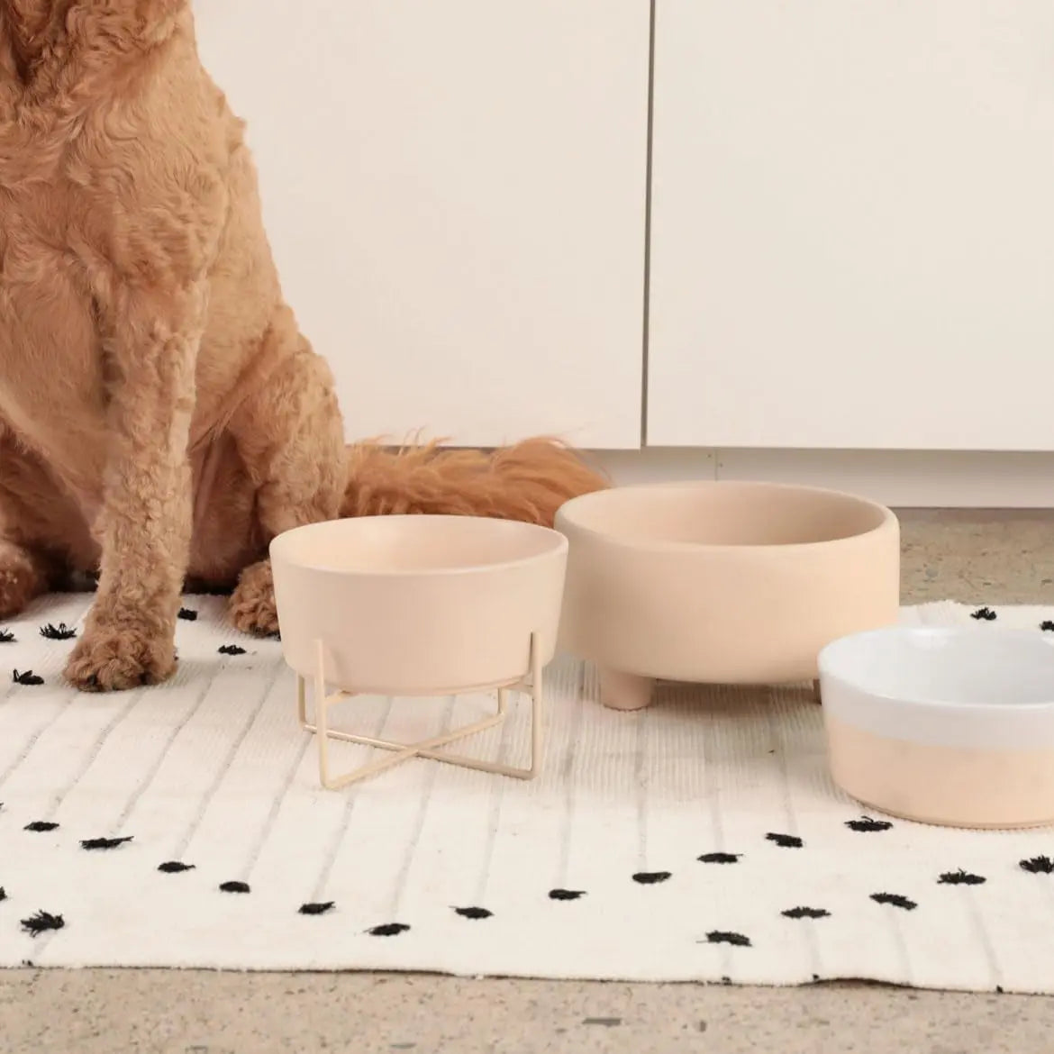 Ceramic Cat &amp; Dog Pet Bowl, Elevated Stoneware Feeder, Dishwasher Safe