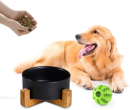 Ceramic Cat &amp; Small Dog Bowl Set with Stand 13.5oz Non Slip Double