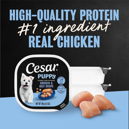 Cesar Puppy Classic Wet Dog Food Chicken &amp; Beef or Variety Pack 3.5oz 24ct