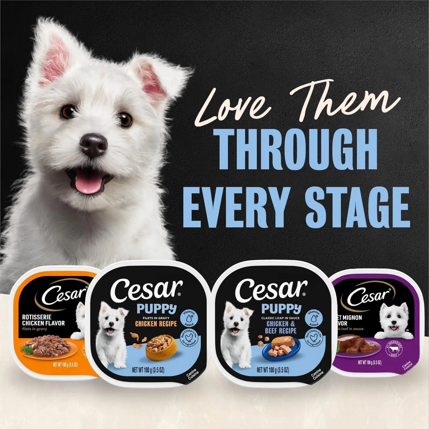 Cesar Puppy Classic Wet Dog Food Chicken &amp; Beef or Variety Pack 3.5oz 24ct