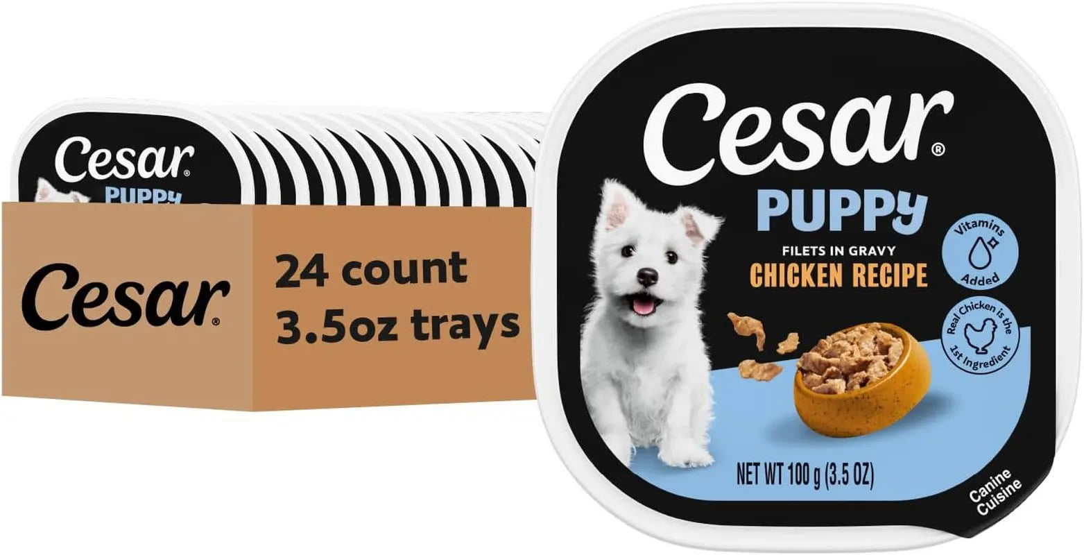 Cesar Puppy Classic Wet Dog Food Chicken &amp; Beef or Variety Pack 3.5oz 24ct