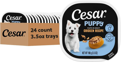 Cesar Puppy Classic Wet Dog Food Chicken &amp; Beef or Variety Pack 3.5oz 24ct