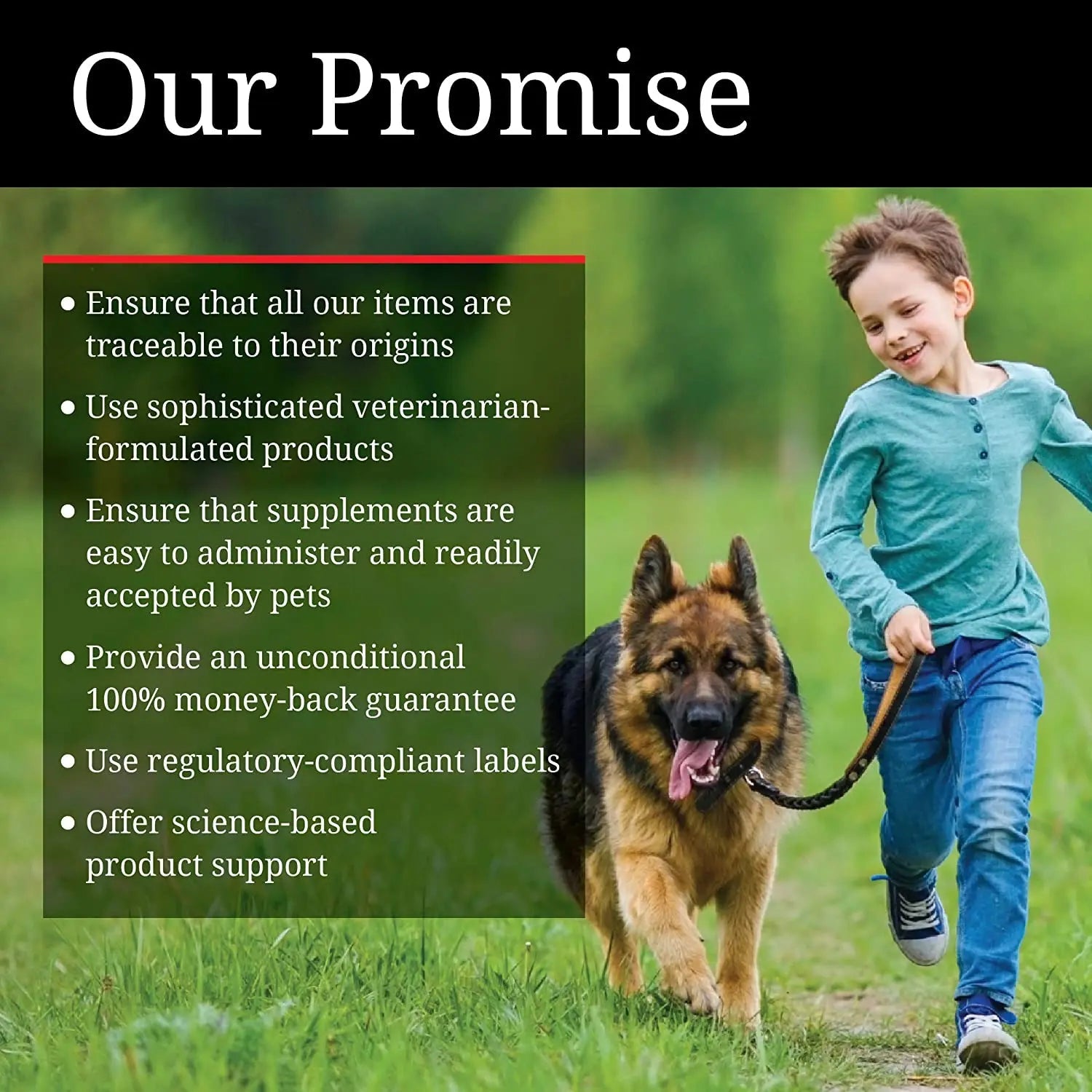Cetyl M Advance Healthy Hips &amp; Joints Action Care for Dogs 360 Tablets