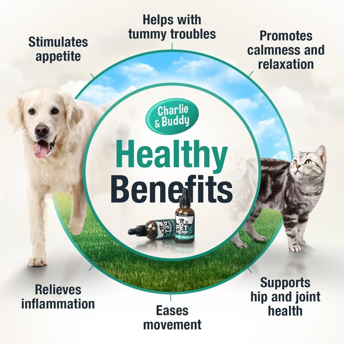 Charlie &amp; Buddy Hemp Oil for Dogs &amp; Cats, Calming &amp; Joint Support