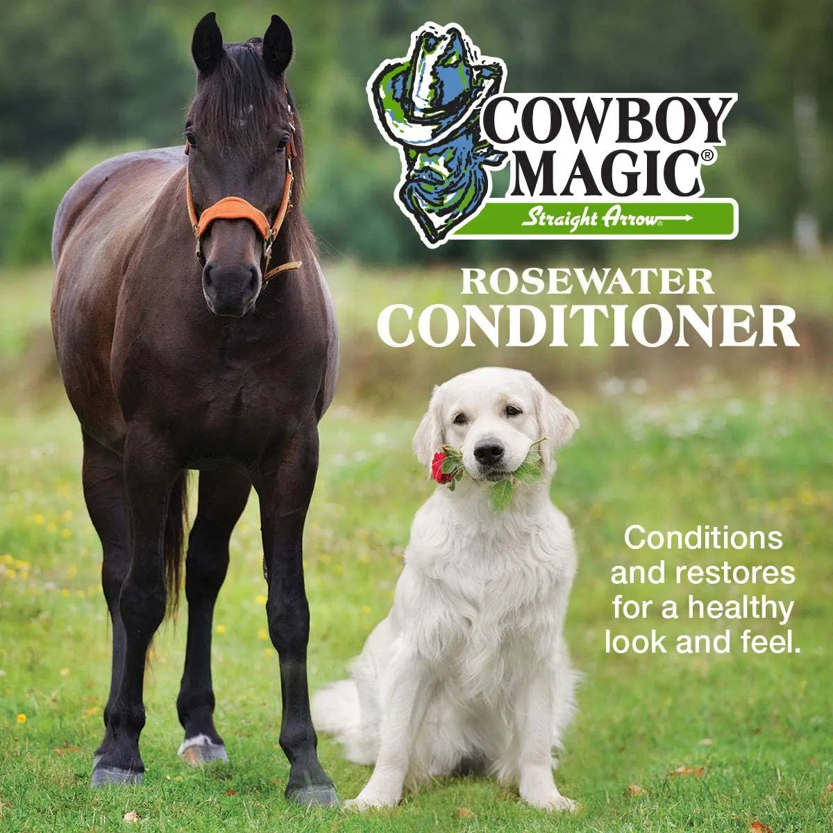 Cowboy Magic Concentrated Rosewater Conditioner 16 oz. Horse Dogs Cat &amp; Humans