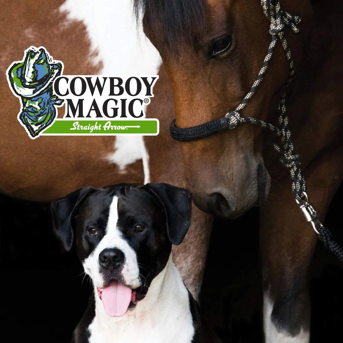 Cowboy Magic Concentrated Rosewater Shampoo 16 oz. for Horse Dogs Cat &amp; Humans