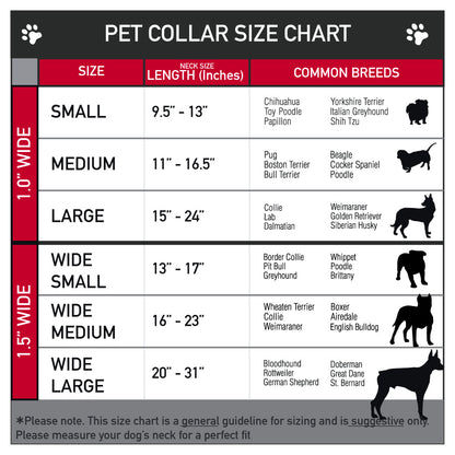 Dog Bone Seatbelt Buckle Collar - Cali License Plates Stacked Vintage