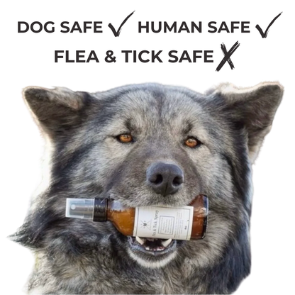 Flea &amp; Tick Spray for Dogs