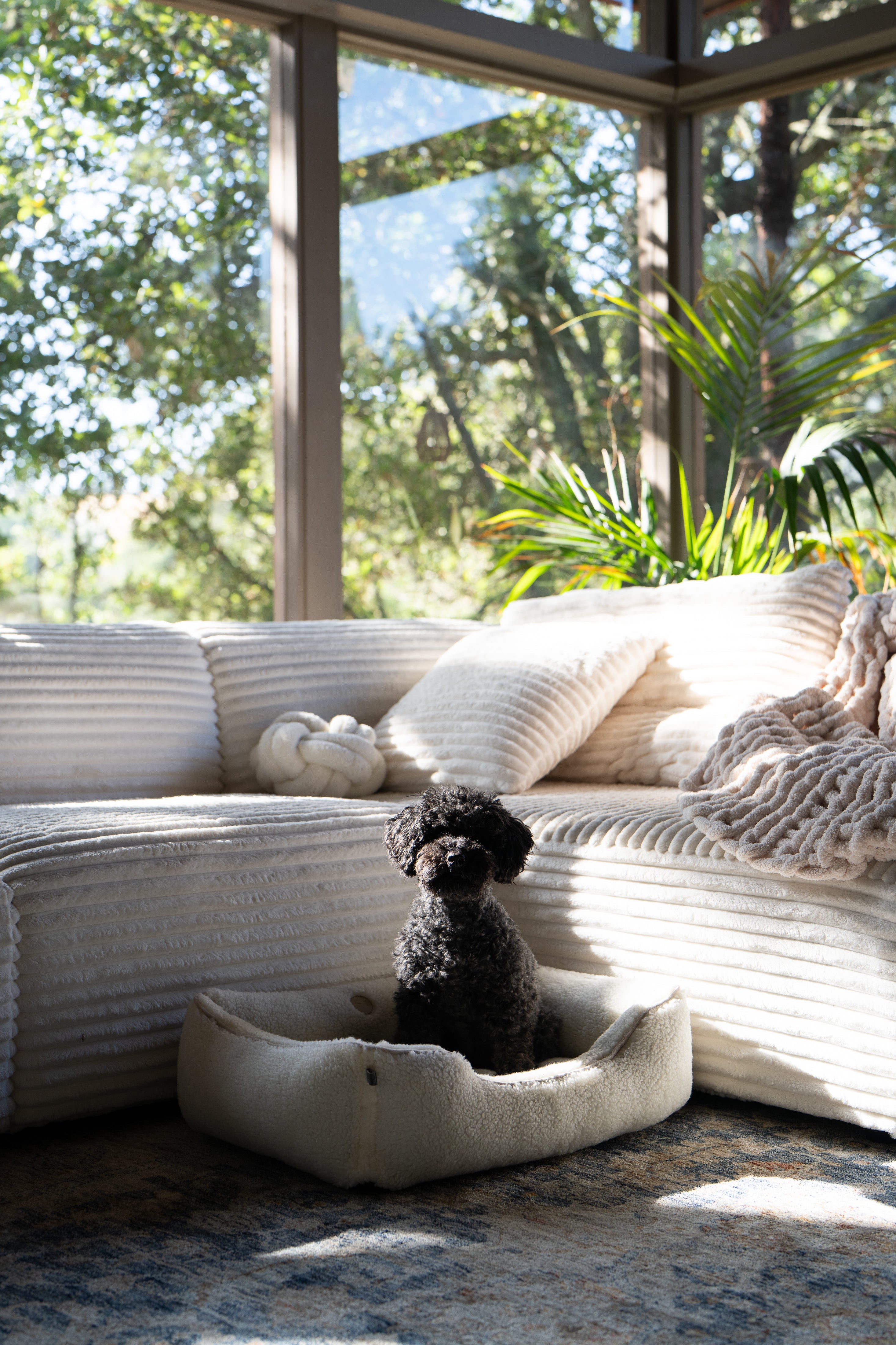 Chester &amp; Lee | Furry Sleeper Dog Bed Gray