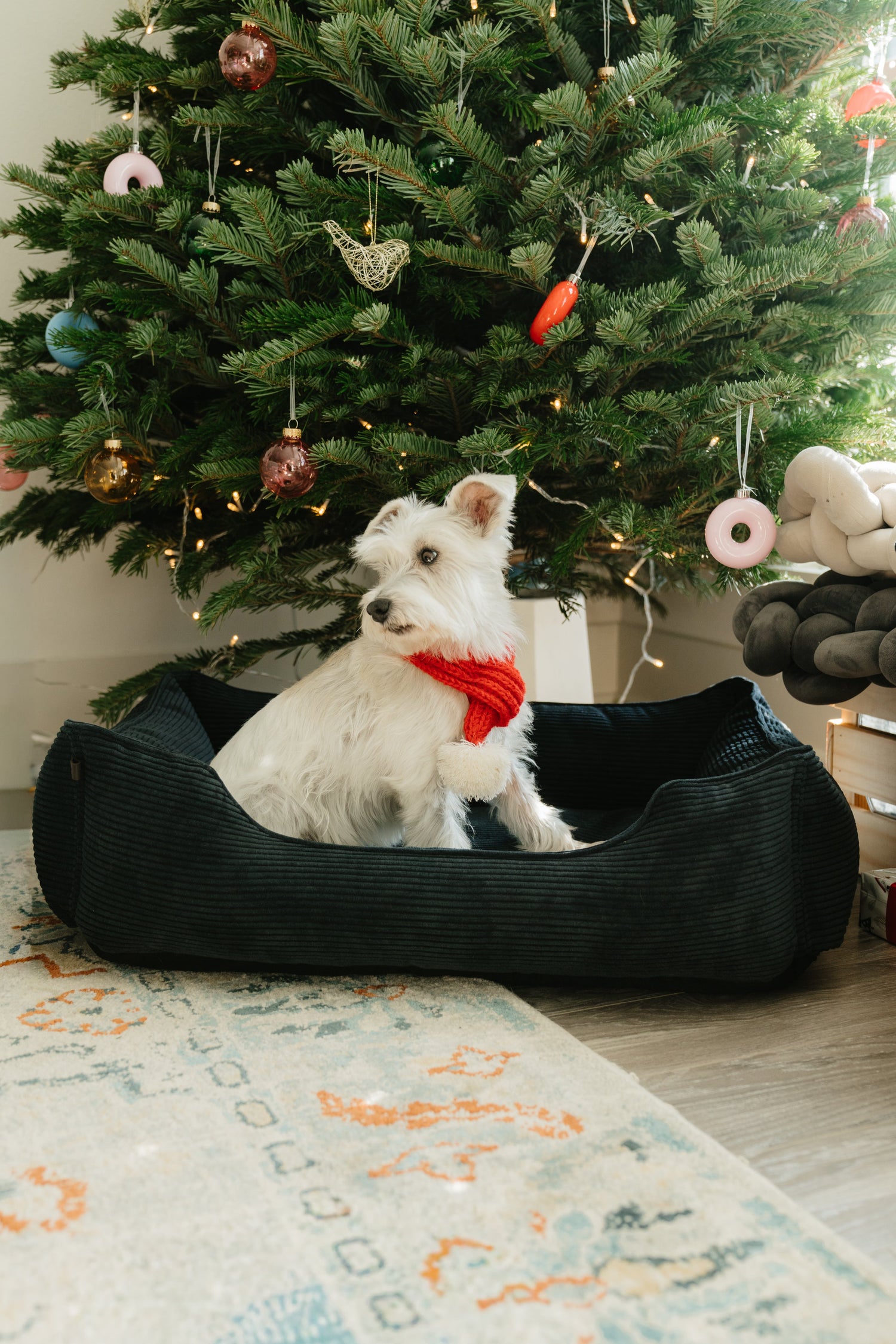 Chester &amp; Lee | Fancy Corduroy Sleeper Dog Bed Graphite