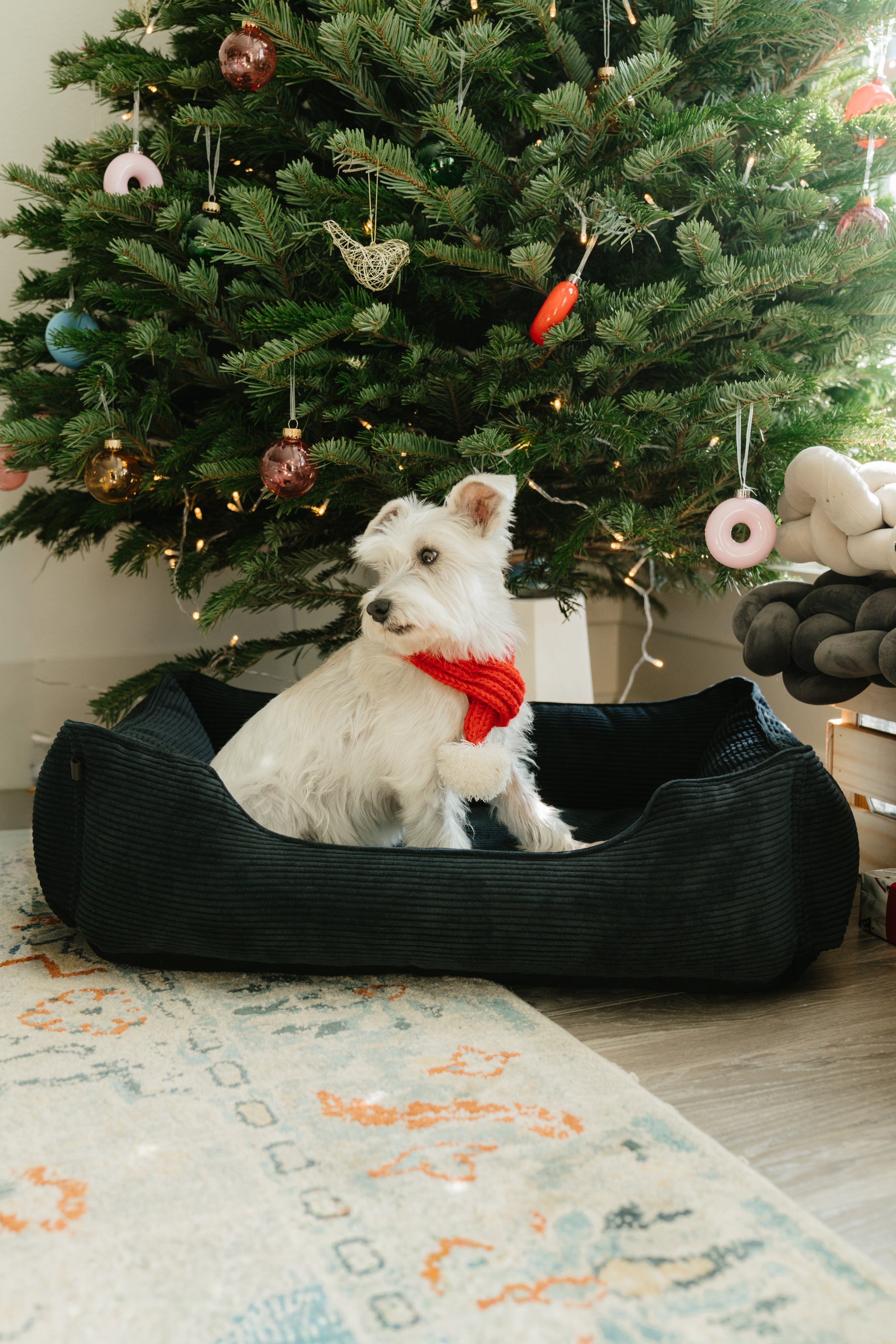 Chester &amp; Lee | Fancy Corduroy Sleeper Dog Bed Graphite