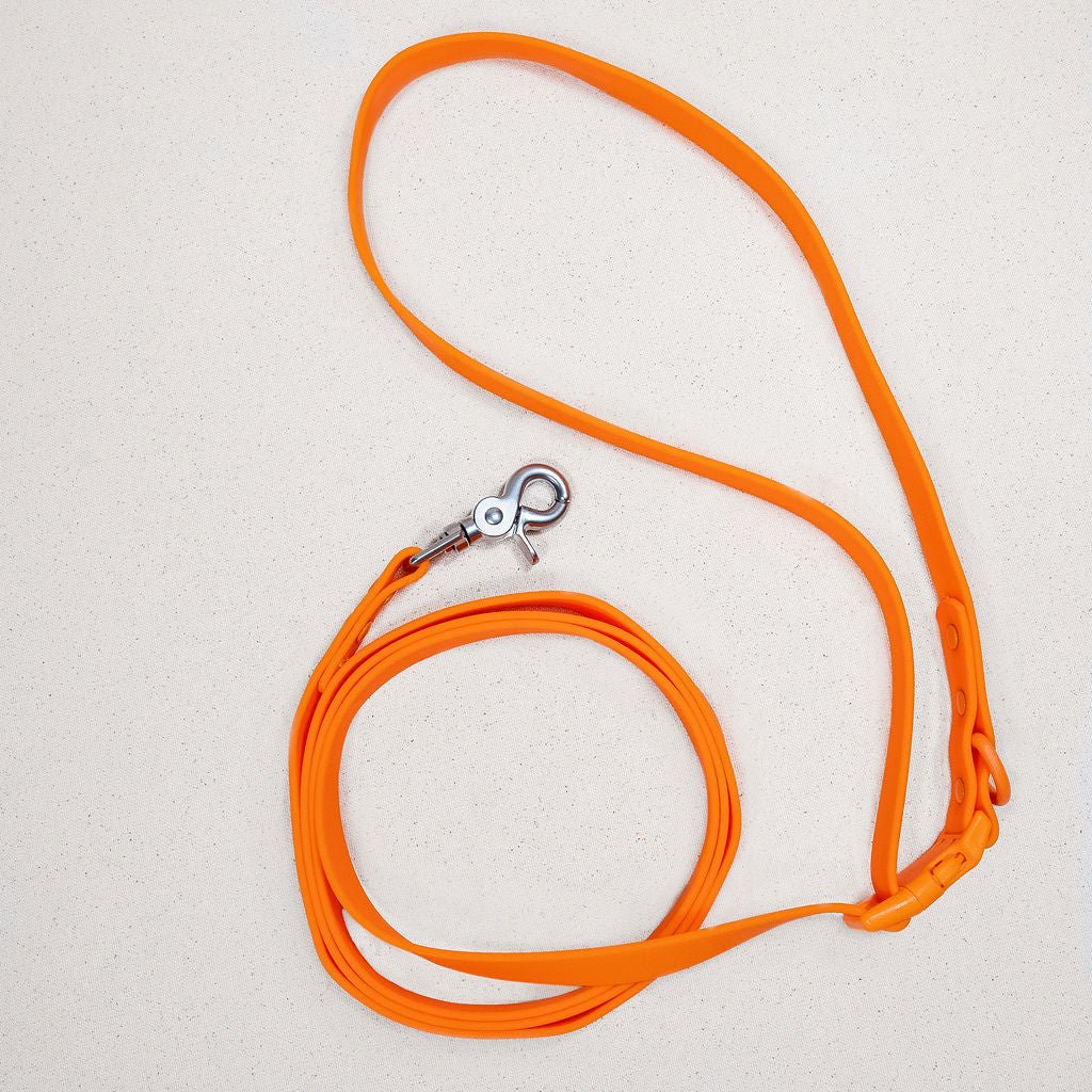 Tilley + Me PVC Handsfree Dog Leash - All Weather Waterproof Durable &amp; Odor-Resistant