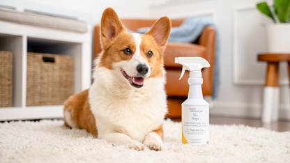 Natural Flea, Tick &amp; Mosquito Spray for Dogs &amp; Cats