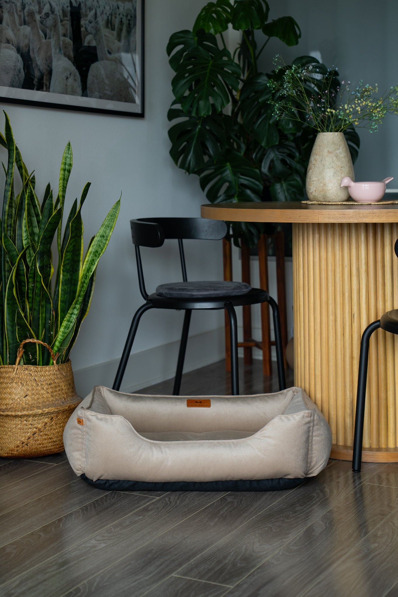 Chester &amp; Lee | Classic Velvet Sleeper Dog Bed Beige