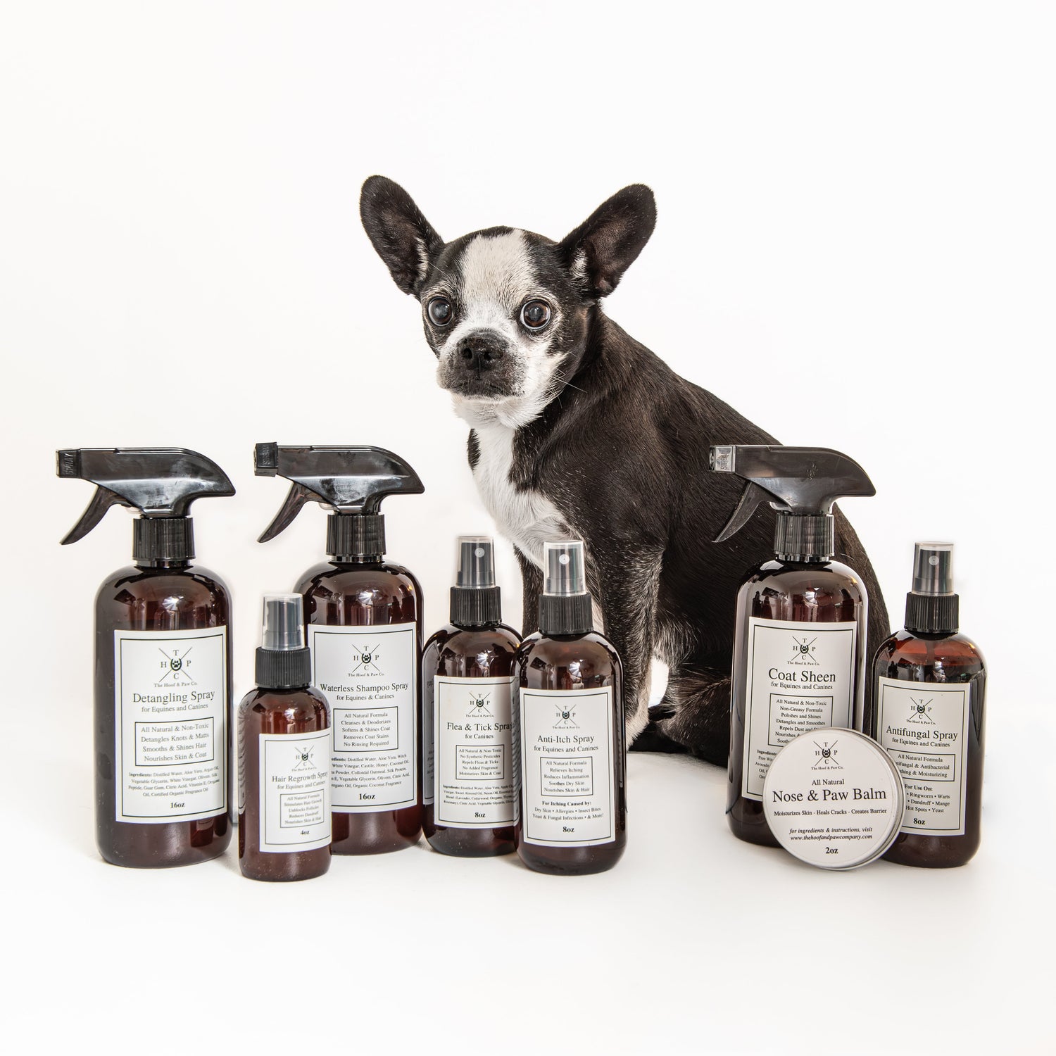 Grooming Spray - for Dogs &amp; Horses