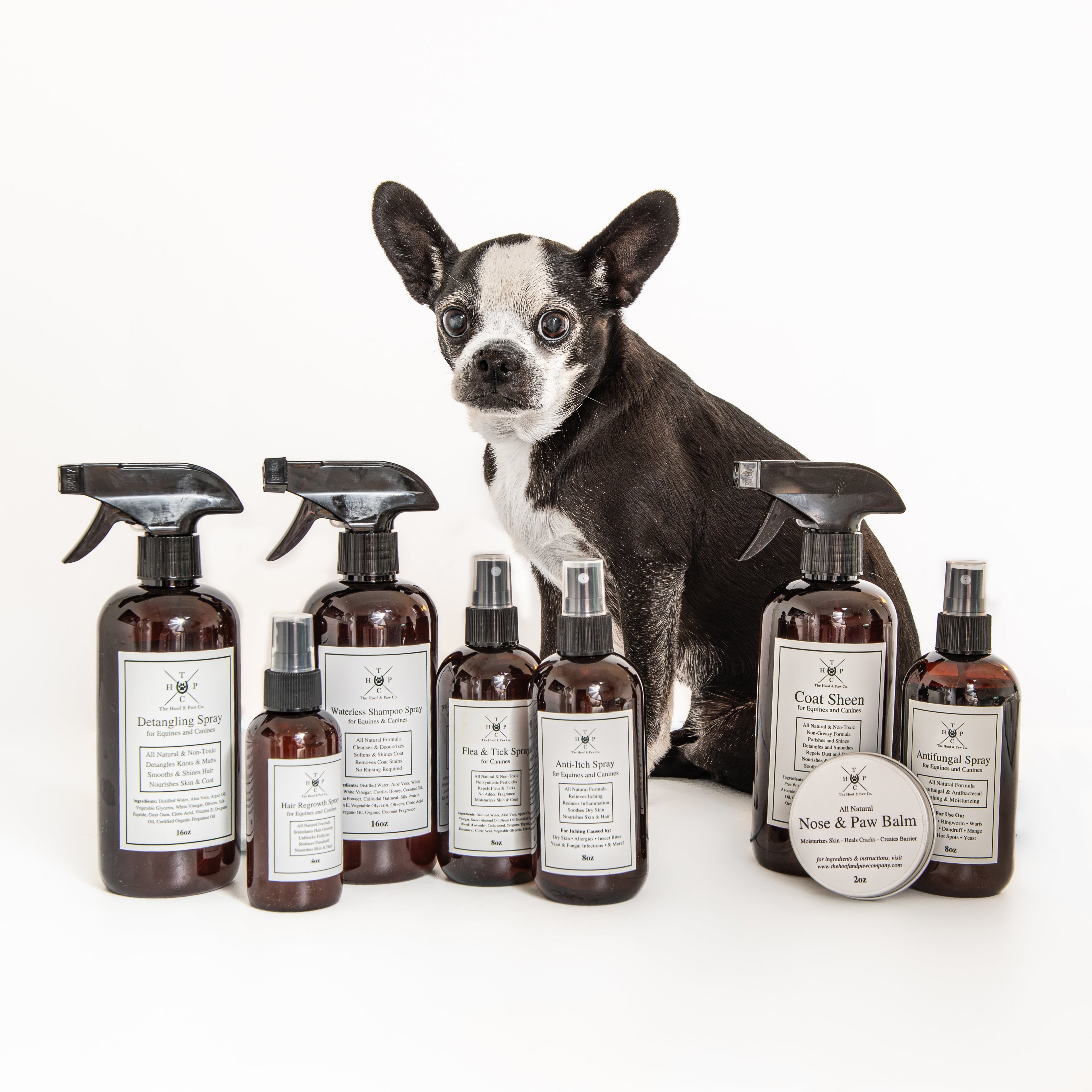 Grooming Spray - for Dogs &amp; Horses