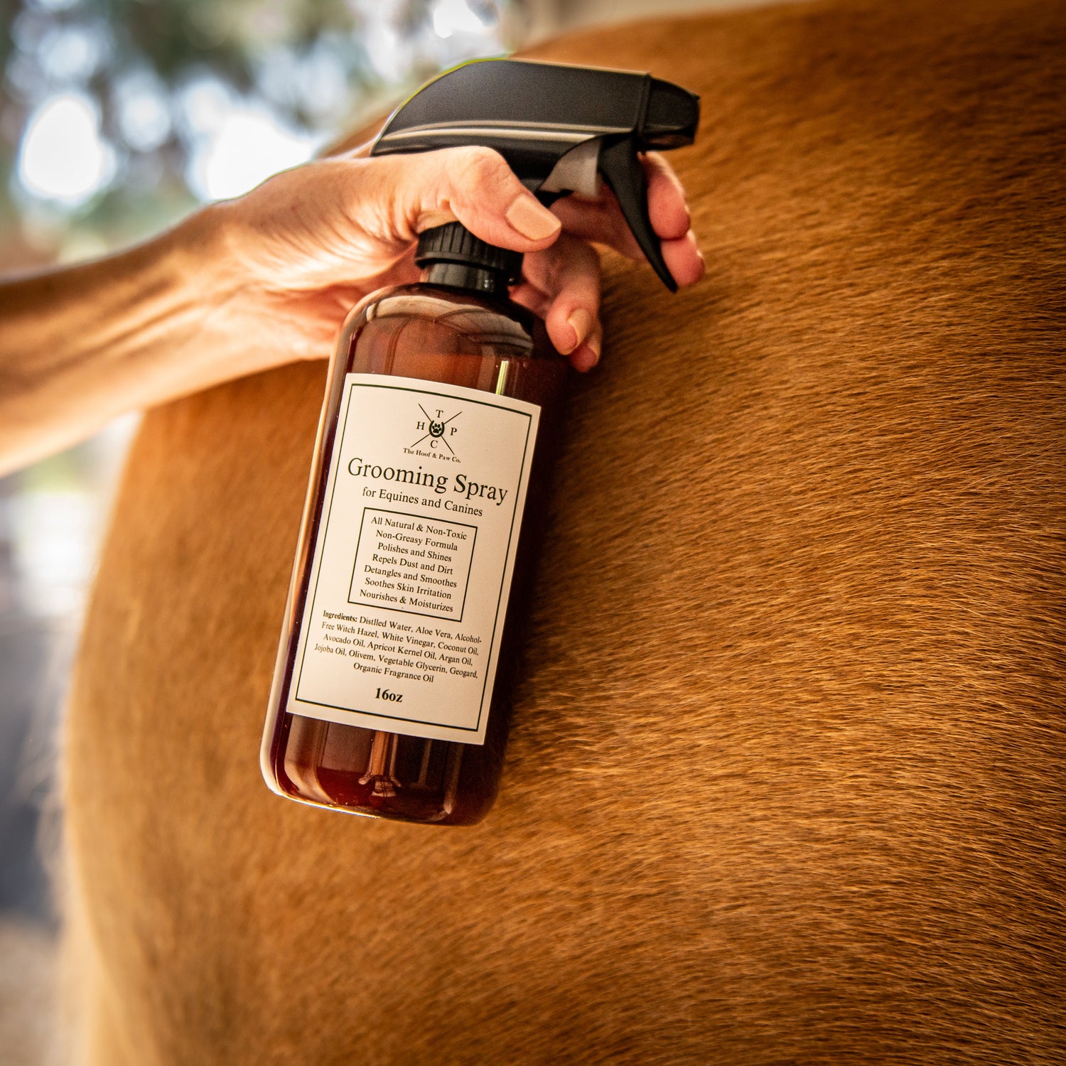 Grooming Spray - for Dogs &amp; Horses
