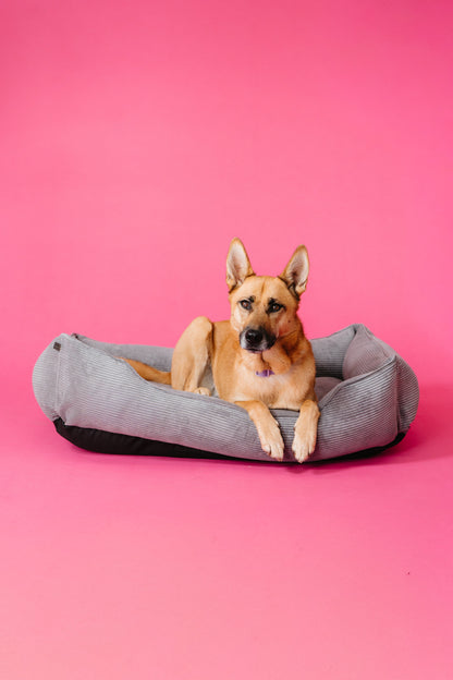 Chester &amp; Lee | Fancy Corduroy Sleeper Dog Bed Gray
