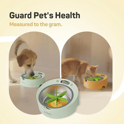 Digital Pet Food Bowl with Scale &amp; Slow Feeder Insert – Cats &amp; Dogs Portion Control