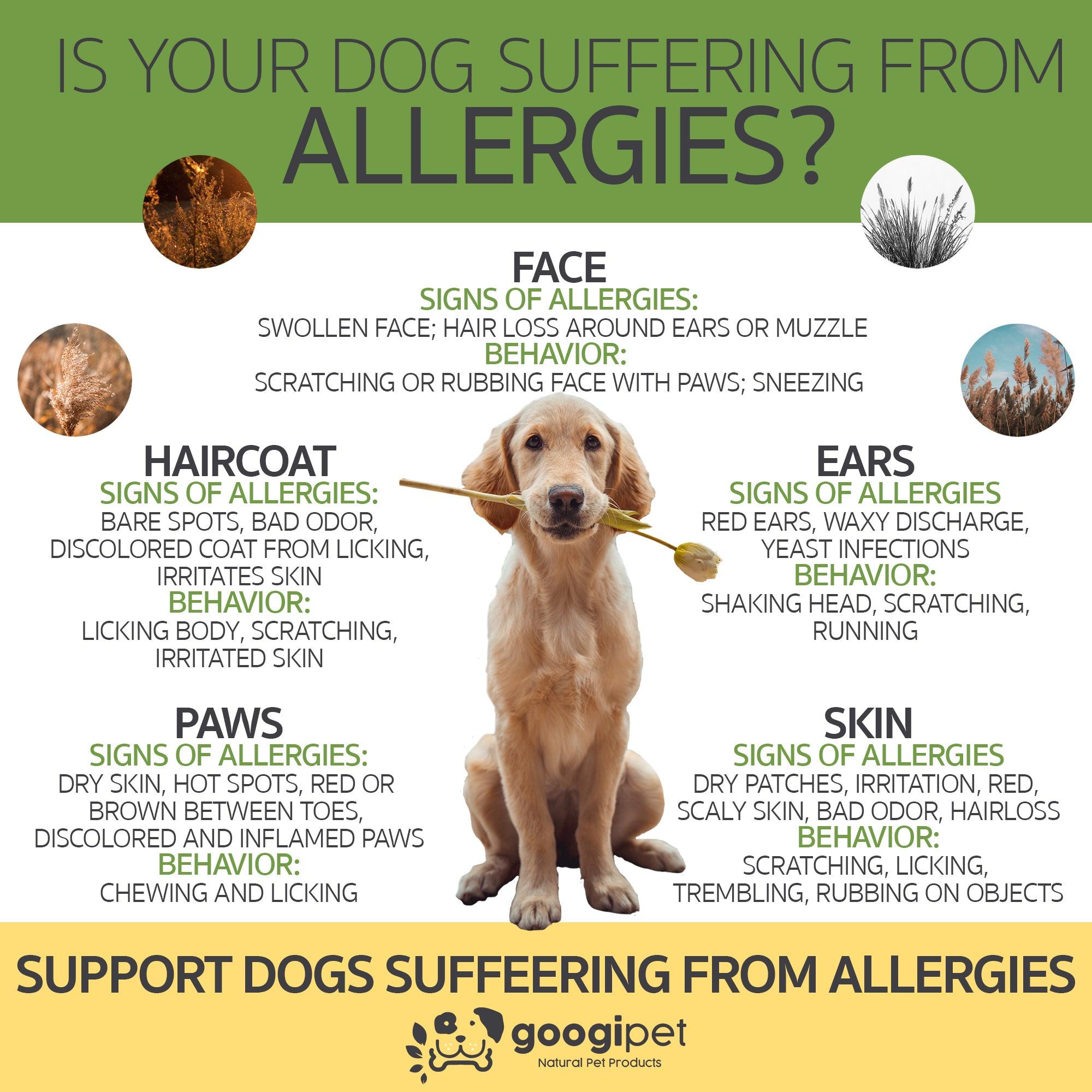 Allergy &amp; Immune Support Chews for Dogs (Coconut &amp; Carob Flavor)