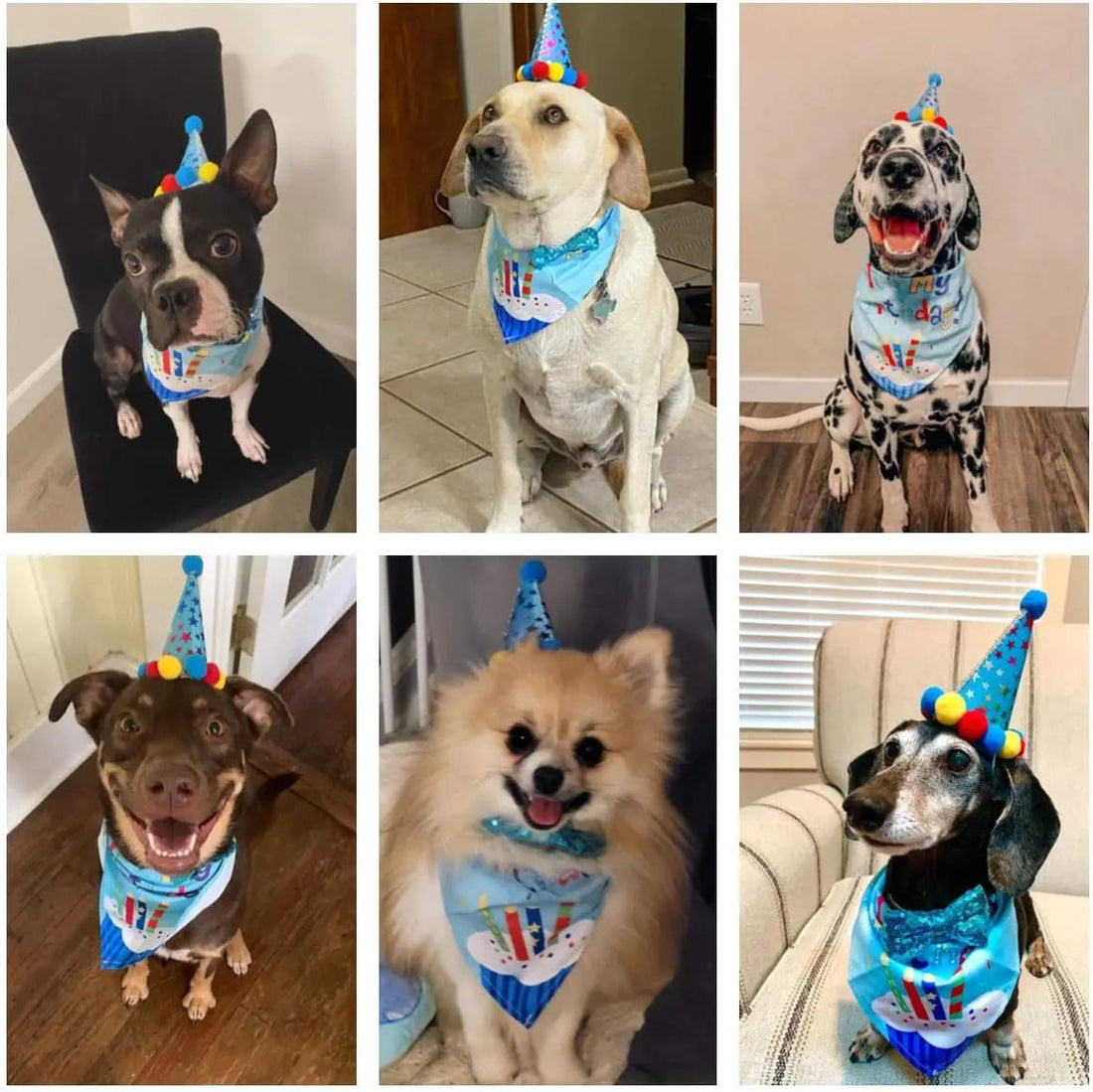 Dog Birthday Bandana, Party Hat &amp; Bow Tie Set for Small- Large Dogs