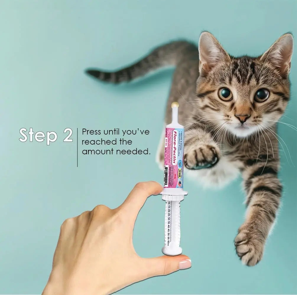 Dog Cat Anti Diarrhea Paste Probiotic Kaolin Pectin Digestive Support