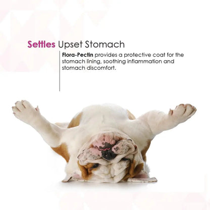 Dog Cat Anti Diarrhea Paste Probiotic Kaolin Pectin Digestive Support