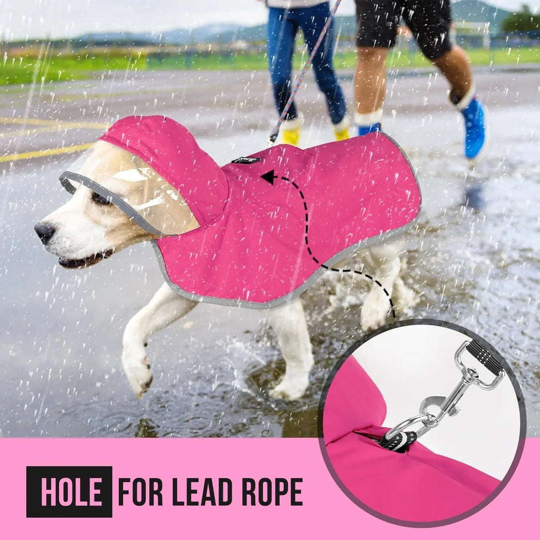 Dog Raincoat with Clear Hood Reflective Trim Adjustable XS–3XL in 3 colors