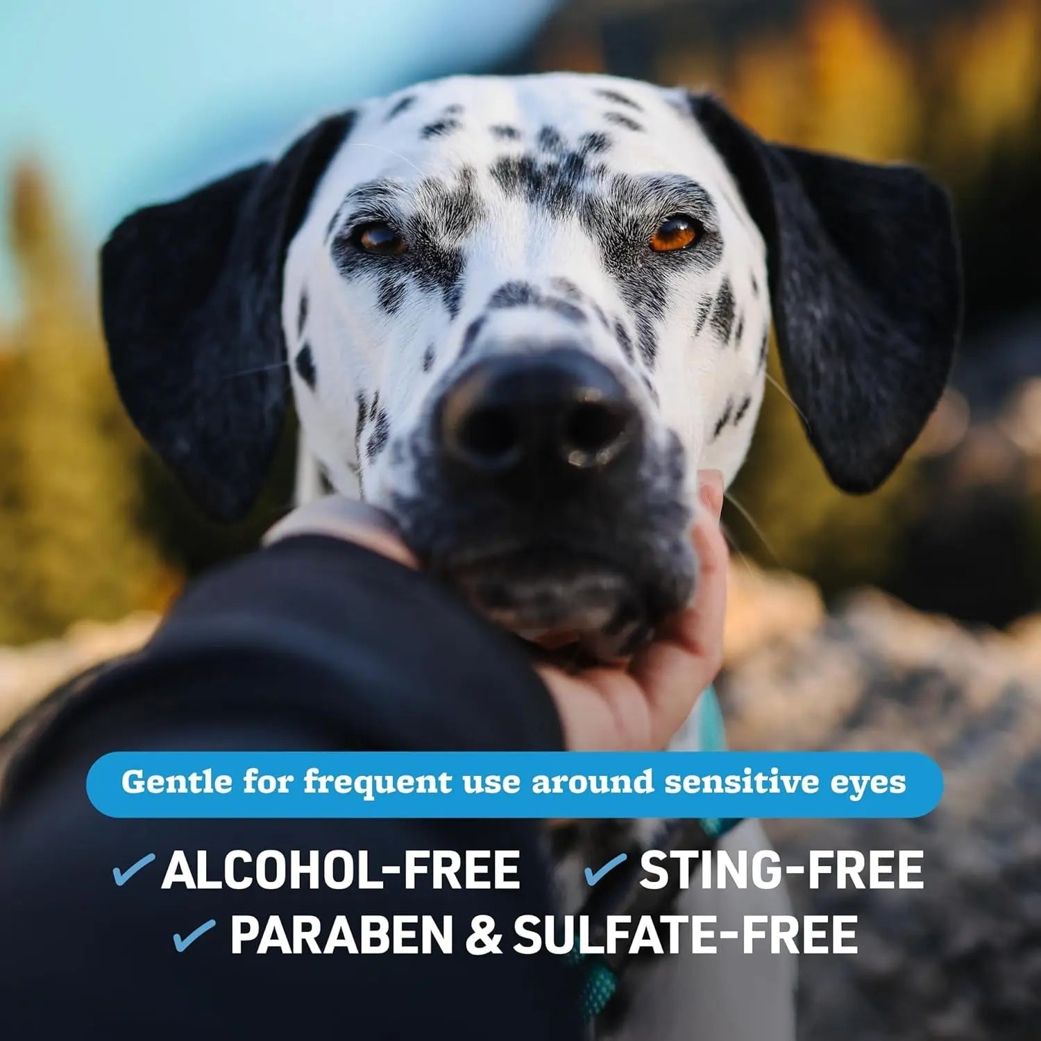 Dog &amp; Cat Tear Stain Eye Wipes Fragrance Free Facial Cleaning 100 Ct