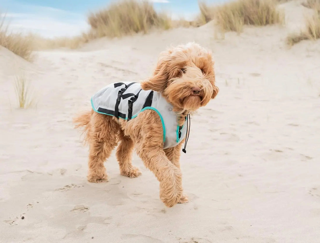 Dry-Activate Dog Cooling Vest, Machine Washable – Assorted Colors