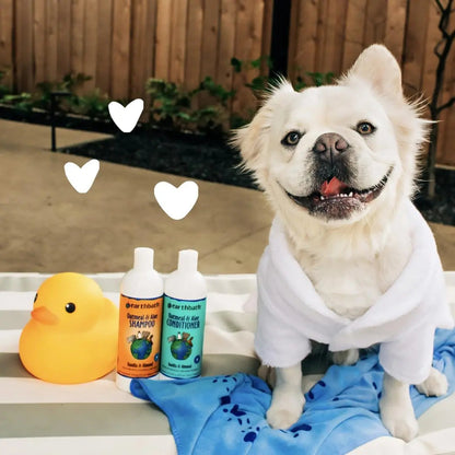 Earthbath Oatmeal &amp; Aloe Dog Shampoo and Conditioner Set for Dry Itchy Skin