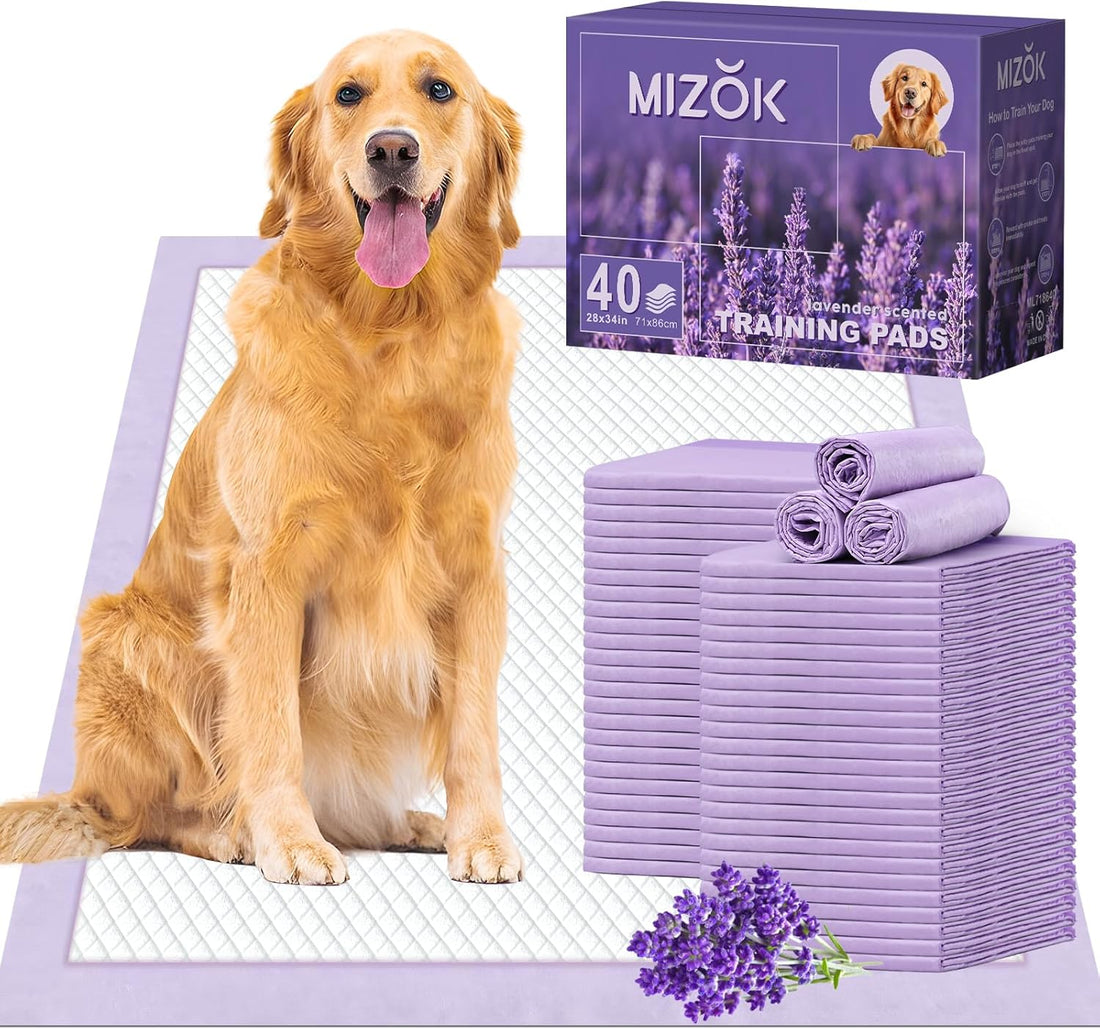 Extra Large Dog Pee Pads 28x34 Lavender Scent Leak Proof 8 Cup 40 Count