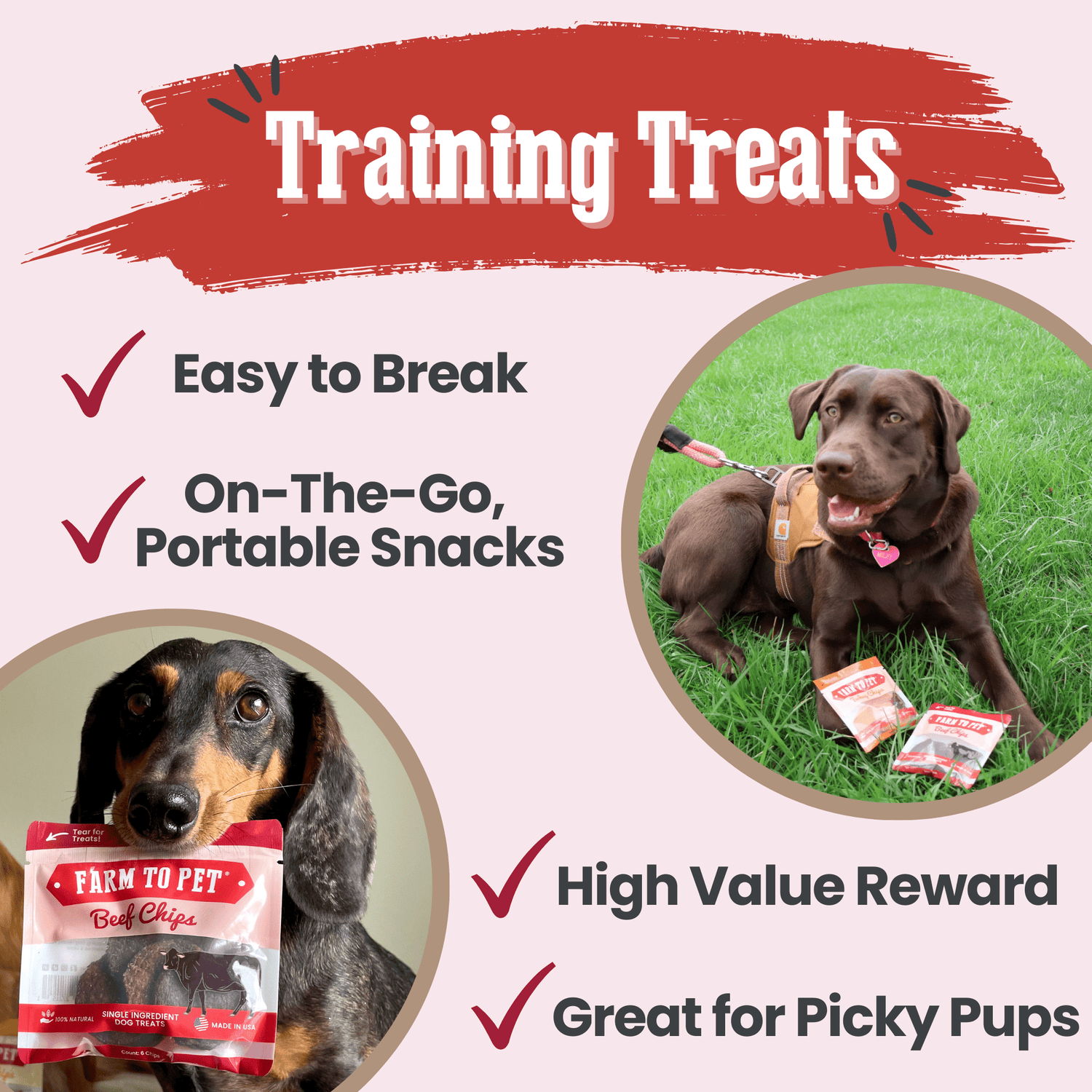 Beef Chips Snack Pack Bundles | Dog Treats for Training &amp; Travel