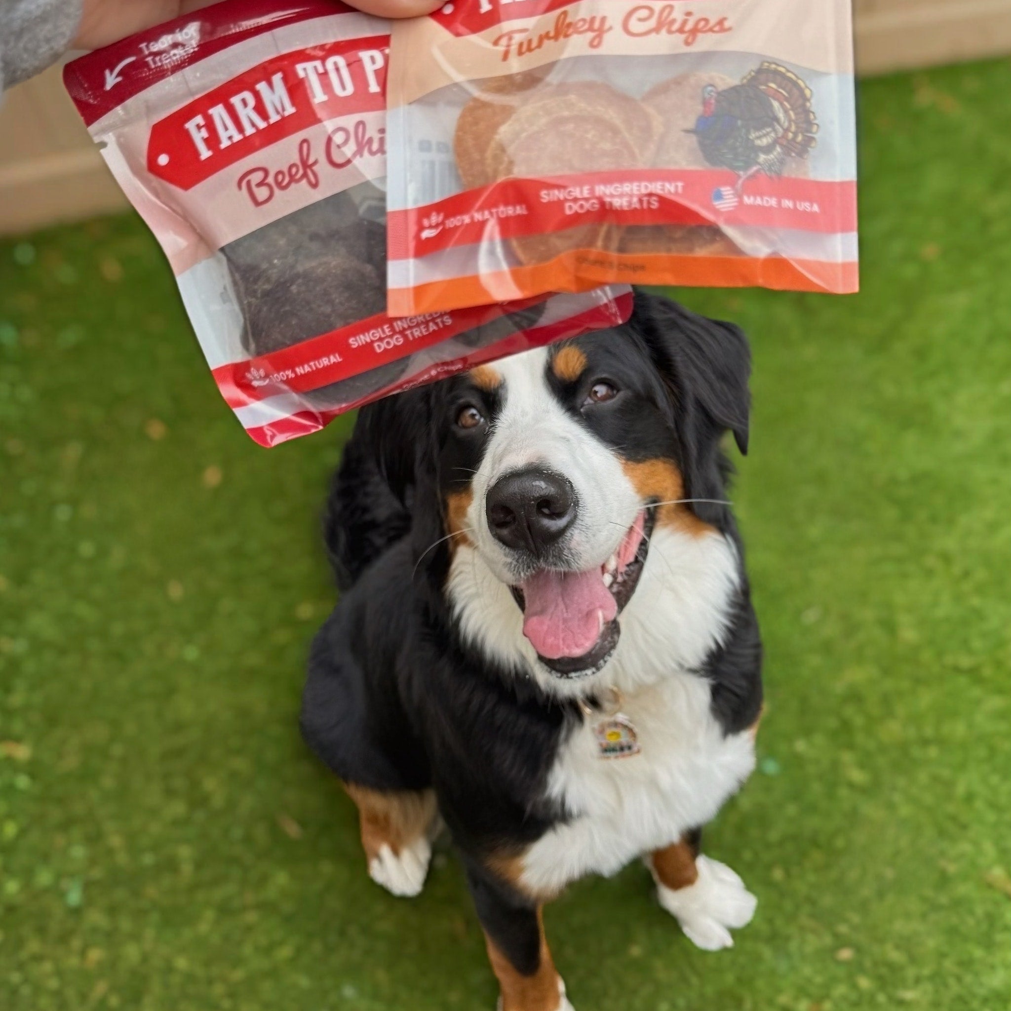 Puppy Packs &