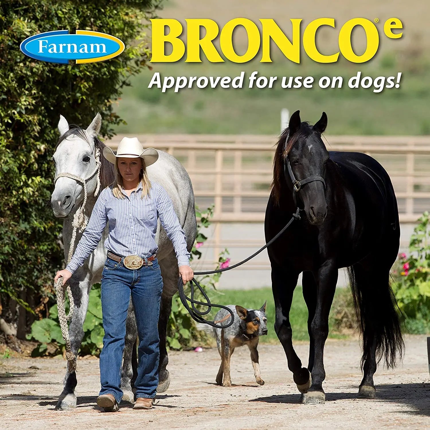 Farnam Bronco Equine Fly Spray Plus Citronella Repellent for Horses &amp; Dogs 32 oz.