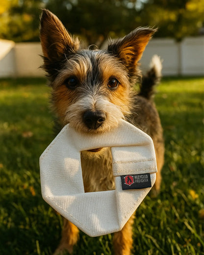 Fire Hose Dog Frisbee JR.
